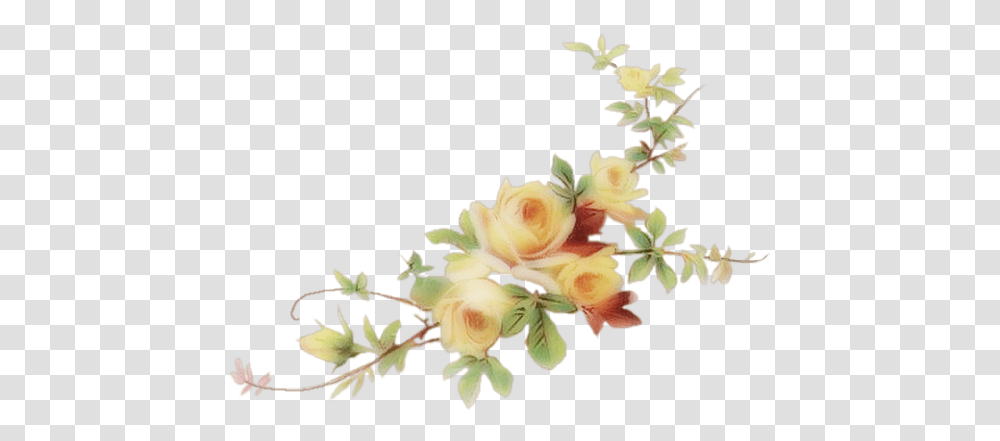 My Website Rose Vine Artificial Flower, Plant, Blossom, Petal, Jar Transparent Png