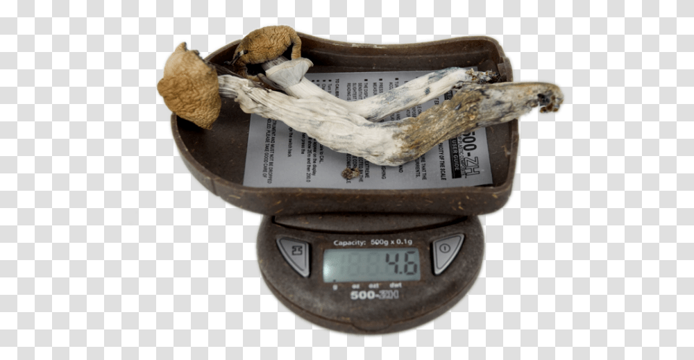My Weigh 500 Zh Digital Pocket Scale MushroomsTitle Antique, Snake, Reptile, Animal, Wood Transparent Png