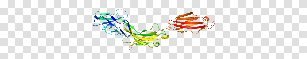 Myelin Associated Glycoprotein Ig Domains 1 3 Pdb Model Graphic Design, Light Transparent Png