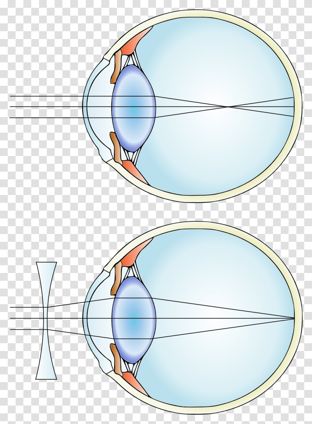 Myopia Mcat, Sphere, Outer Space, Astronomy, Universe Transparent Png