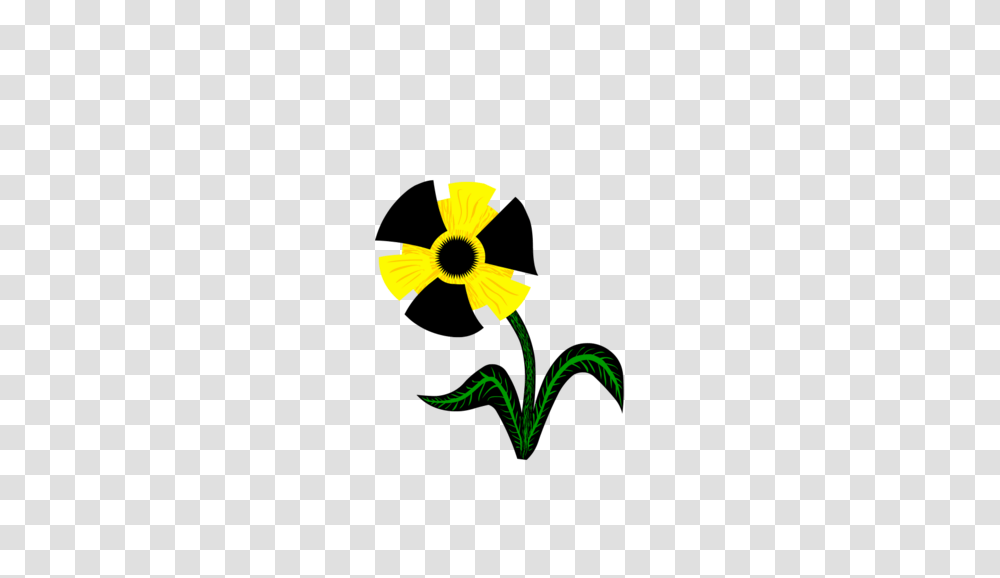 Mysoti, Plant, Flower, Blossom, Daffodil Transparent Png