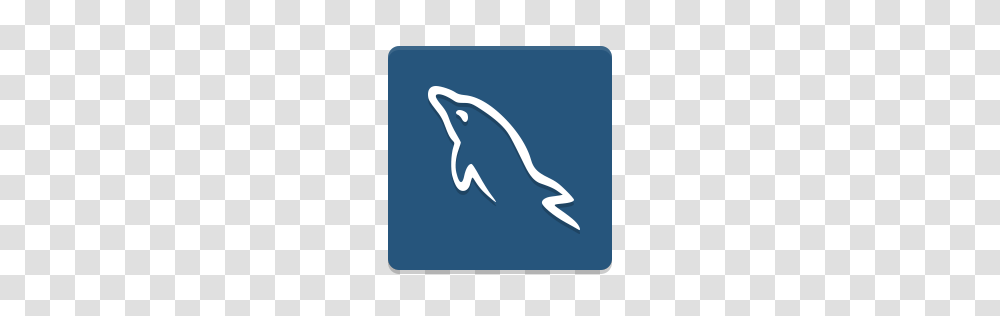 Mysql, Logo, Mammal, Animal, Sea Life Transparent Png