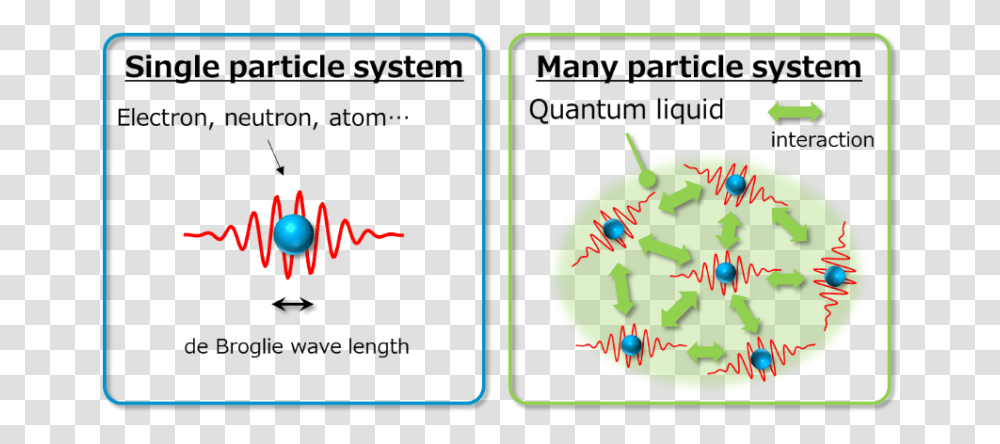 Mysterious Behavior Of Quantum Liquid Elucidated A Single Particle System, Plant, Pin Transparent Png