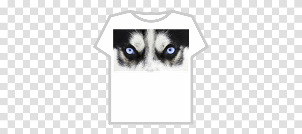 Mystical Blue Wolf Eyes Roblox La Mirada De Un Animal, Mammal, Husky, Dog, Pet Transparent Png