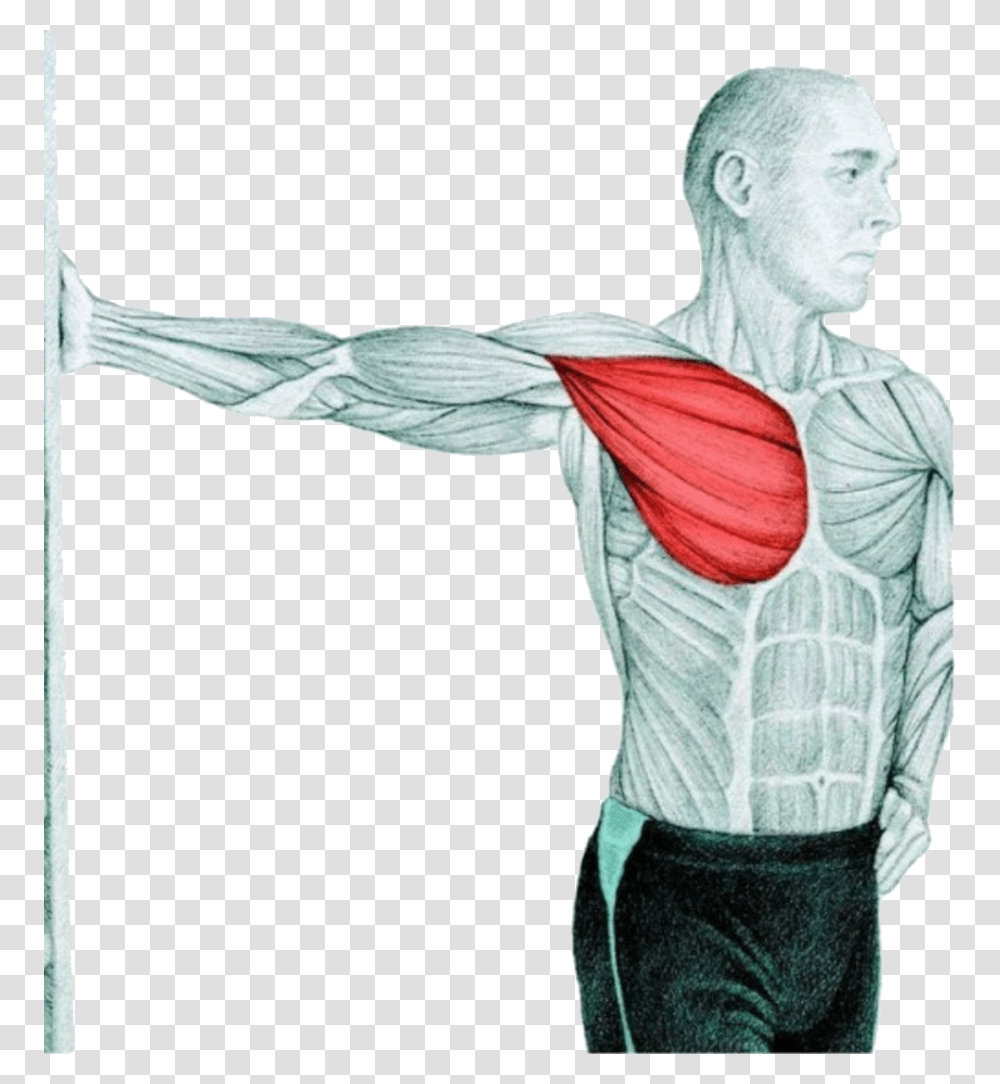 Myswimpro Stretch Chest Stretch At Wall Chest Stretch At The Wall, Person, Arm, Tai Chi, Martial Arts Transparent Png