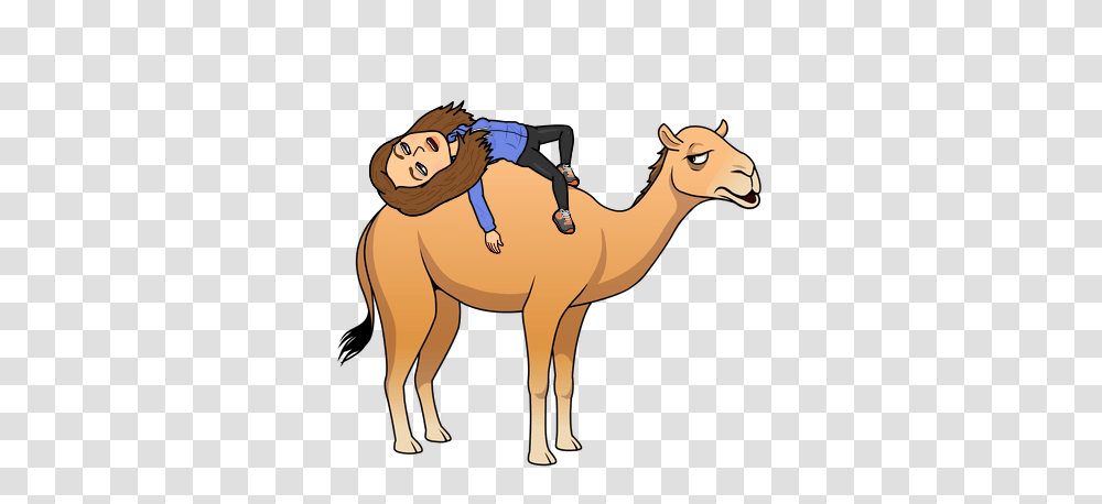 Mytaxi Ireland On Twitter Happy Hump Day Everyone Ellen, Camel, Mammal, Animal, Horse Transparent Png