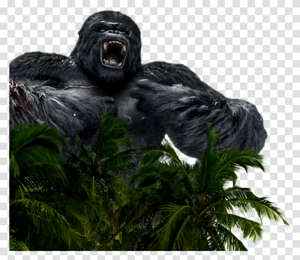 Myth Explorer - Questus Kong, Ape, Wildlife, Mammal, Animal Transparent Png