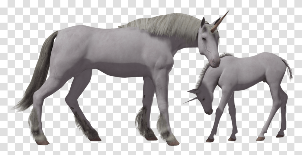 Mythical Realistic Unicorn Clipart, Horse, Mammal, Animal, Colt Horse Transparent Png