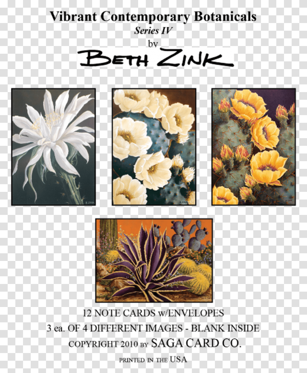 N A28 Series Iv By Beth Zink Aletris, Petal, Flower, Plant, Dahlia Transparent Png