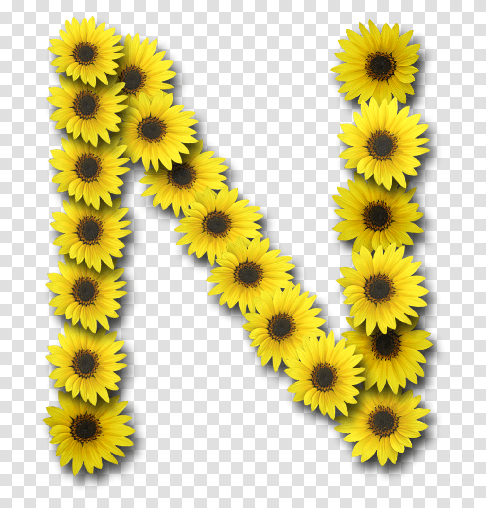 N Letter Free All Alphabet Sunflower Letters, Plant, Blossom, Rug, Daisy Transparent Png