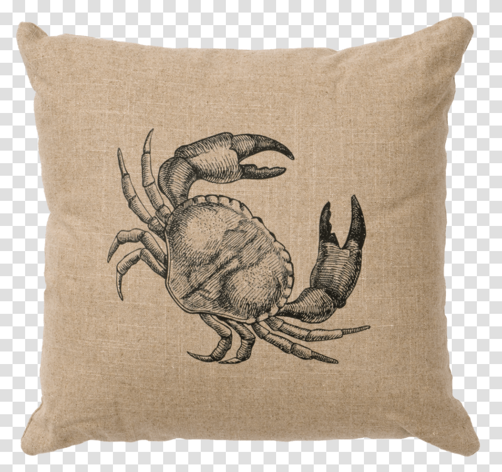 N You Found Albert The Unfindable Crab, Pillow, Cushion, Turtle, Reptile Transparent Png
