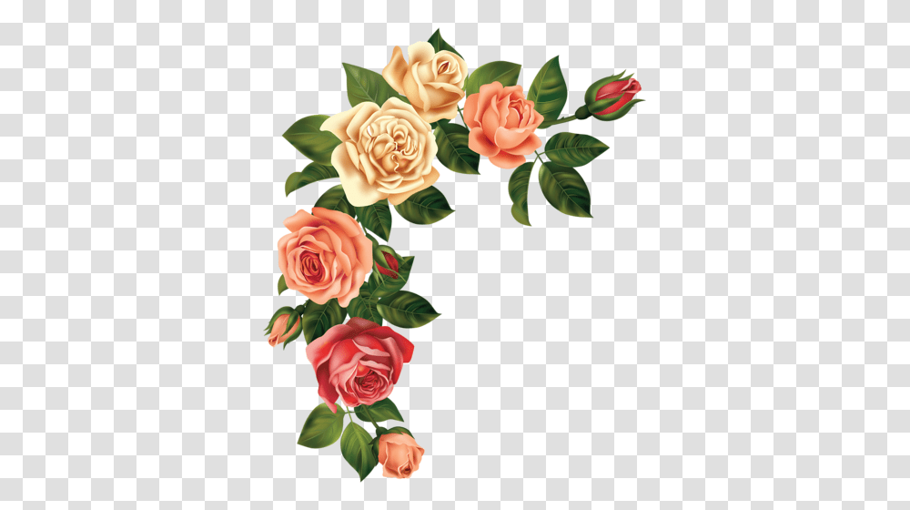 Nabory Art Rose Flowers Rose, Plant, Blossom, Petal, Floral Design Transparent Png