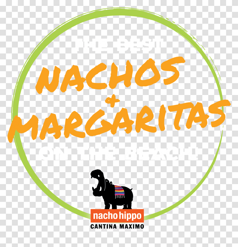 Nacho Hippo, Poster, Advertisement, Label Transparent Png