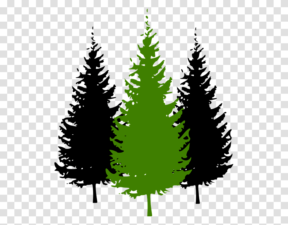 Nadelbaume Nadelbaume Images, Tree, Plant, Christmas Tree, Ornament Transparent Png