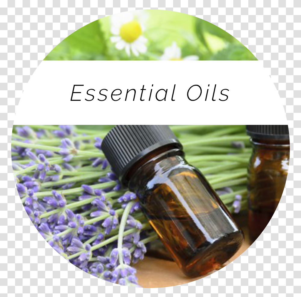 Nadia Sidebar Oils Huiles Essentielles Conseil Aromatherapie, Potted Plant, Vase, Jar, Pottery Transparent Png