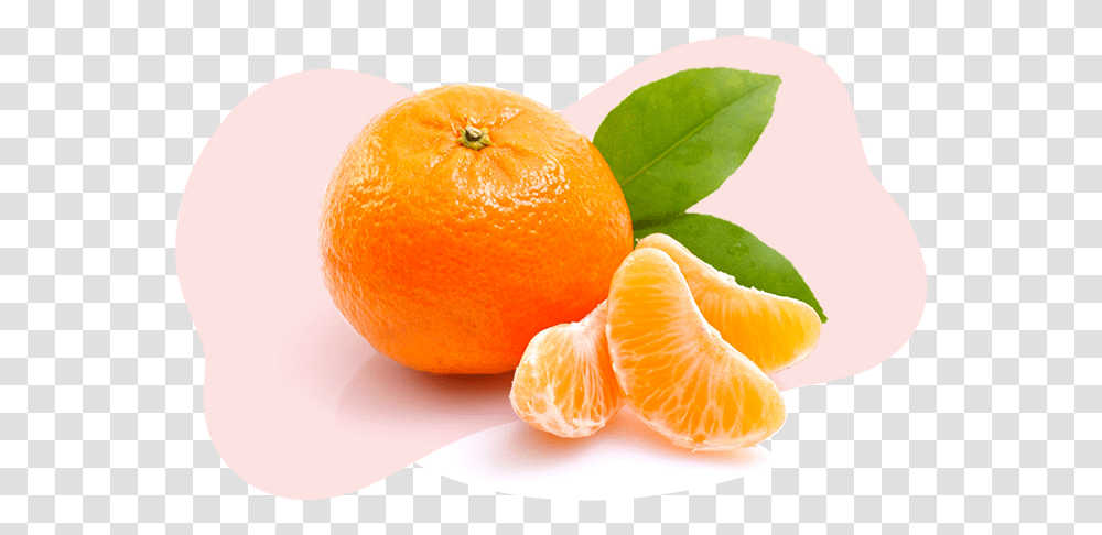 Nagpur Orange, Citrus Fruit, Plant, Food, Grapefruit Transparent Png