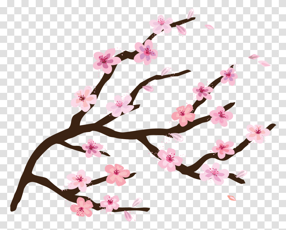 Nail Art, Plant, Flower, Blossom, Cherry Blossom Transparent Png