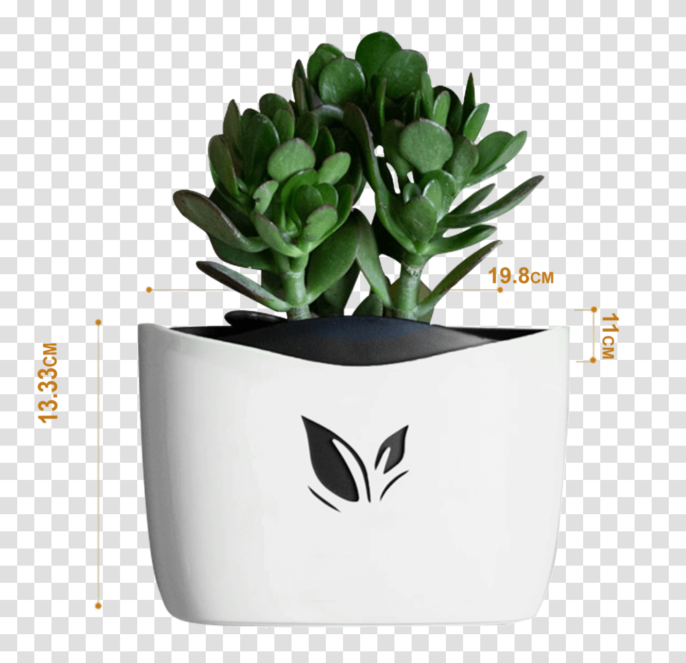 Nail Free Hanging Plant Pots White White Flower Pot, Potted Plant, Vase, Jar, Pottery Transparent Png