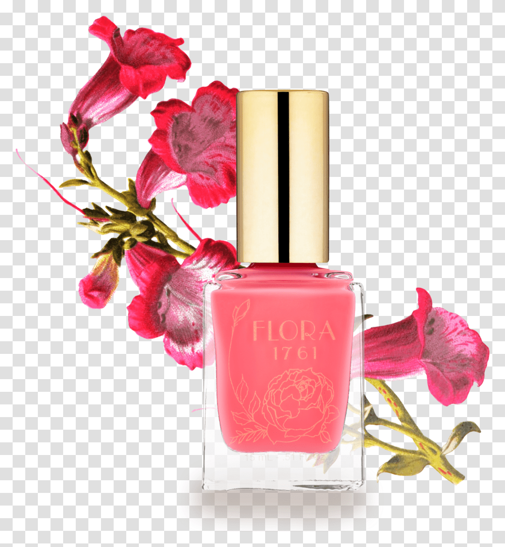 Nail Lacquer In Bougainvillea Nail Polish, Cosmetics, Bottle, Perfume, Plant Transparent Png