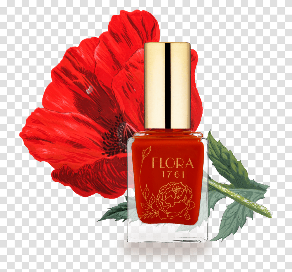 Nail Lacquer In Flanders Poppy Nail Polish, Bottle, Cosmetics, Perfume, Wedding Cake Transparent Png