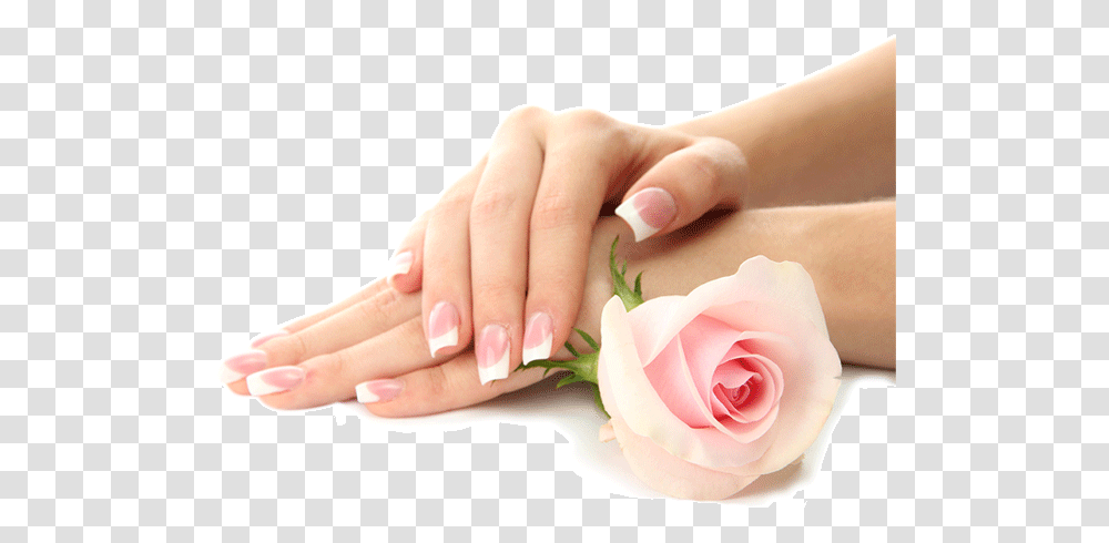 Nail Manicure, Person, Human, Hand, Rose Transparent Png
