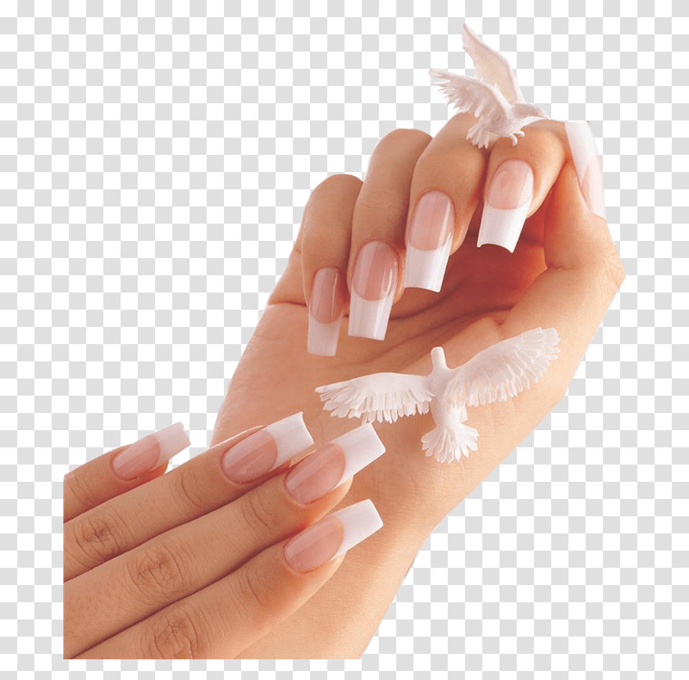 Nail Salon, Manicure, Person, Human, Hand Transparent Png