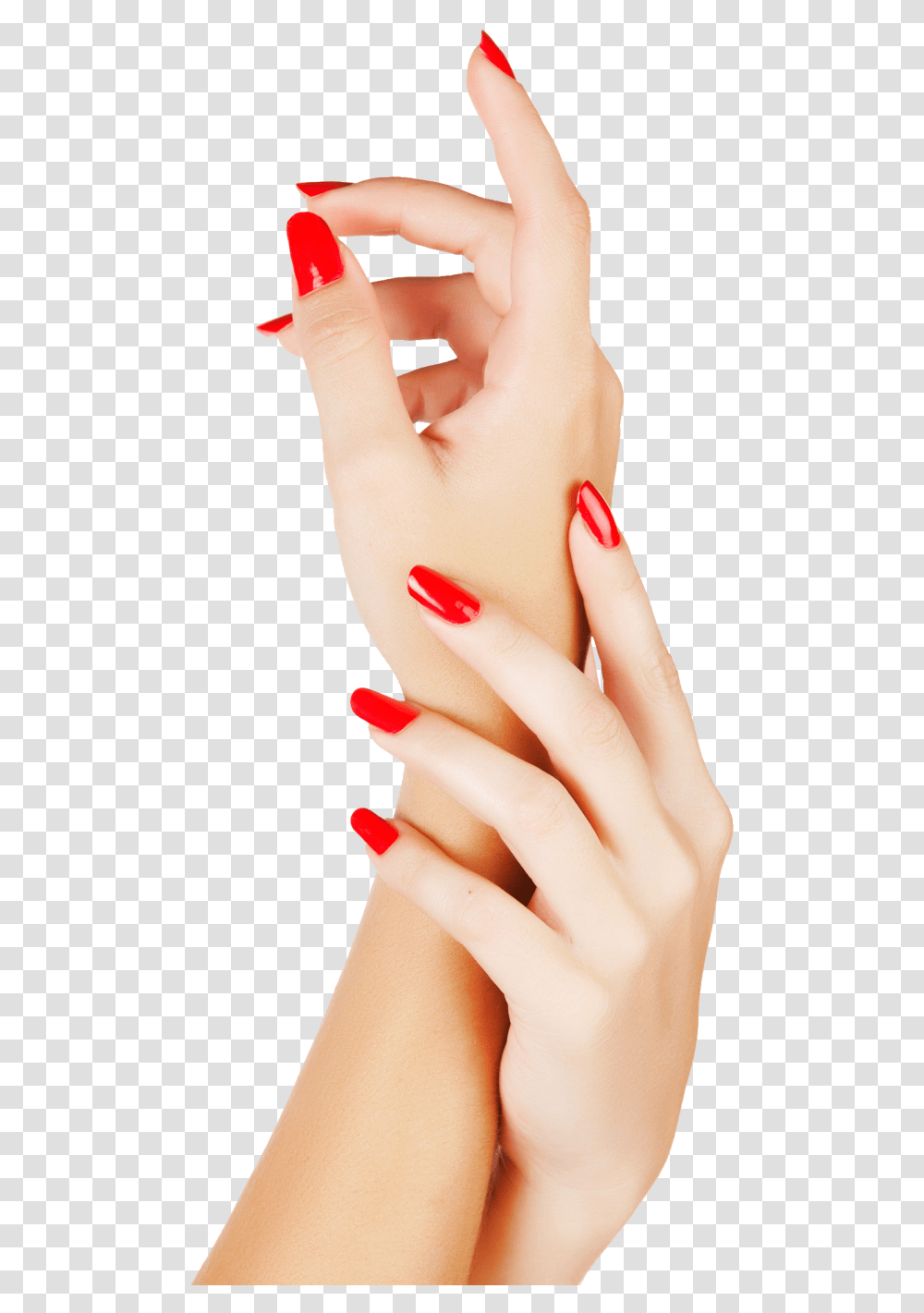 Nails Color Image Nails, Person, Human, Manicure, Hand Transparent Png