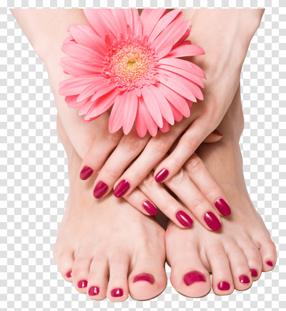 Nails Image Manicure And Pedicure, Person, Human, Hand, Skin Transparent Png