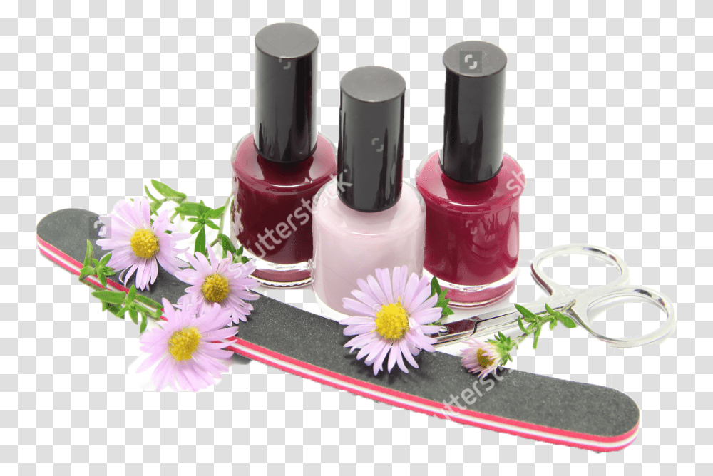 Nails, Lipstick, Cosmetics, Plant, Flower Transparent Png