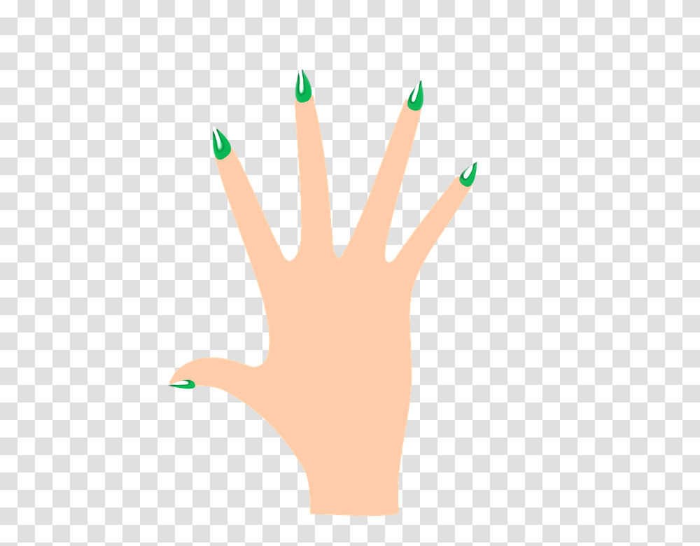 Nails, Person, Finger, Hand, Pencil Transparent Png