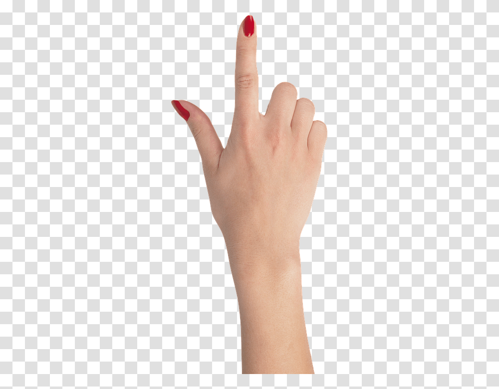 Nails, Person, Hand, Wrist, Human Transparent Png