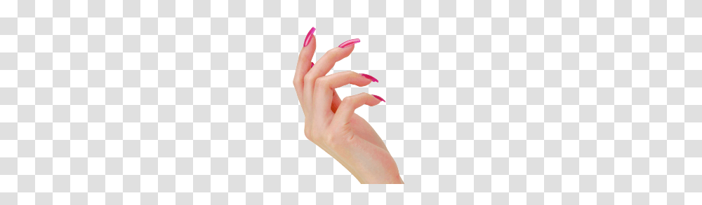 Nails, Person, Human, Hand, Finger Transparent Png