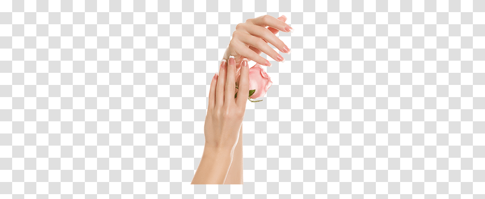 Nails, Person, Human, Manicure, Hand Transparent Png