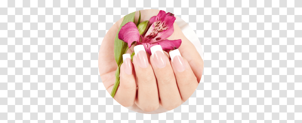 Nails, Person, Human, Manicure, Plant Transparent Png