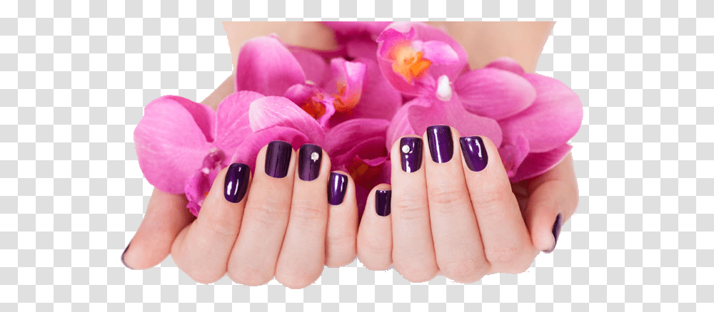 Nails, Person, Manicure, Human, Petal Transparent Png