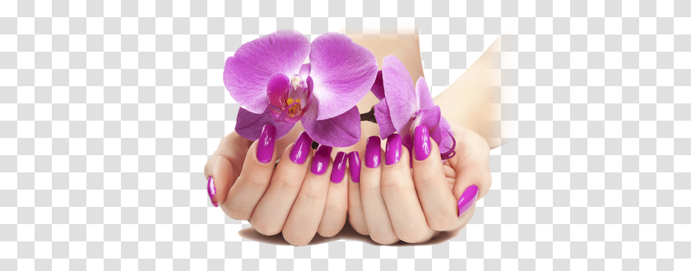 Nails, Person, Manicure, Human, Plant Transparent Png