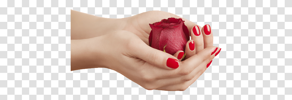 Nails, Person, Rose, Flower, Plant Transparent Png