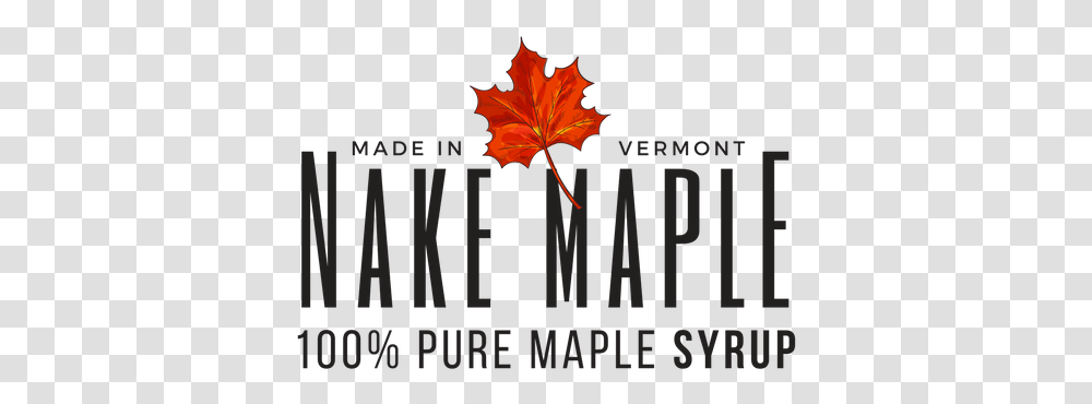 Nake Maple Sw Postcode Area, Leaf, Plant, Tree, Maple Leaf Transparent Png