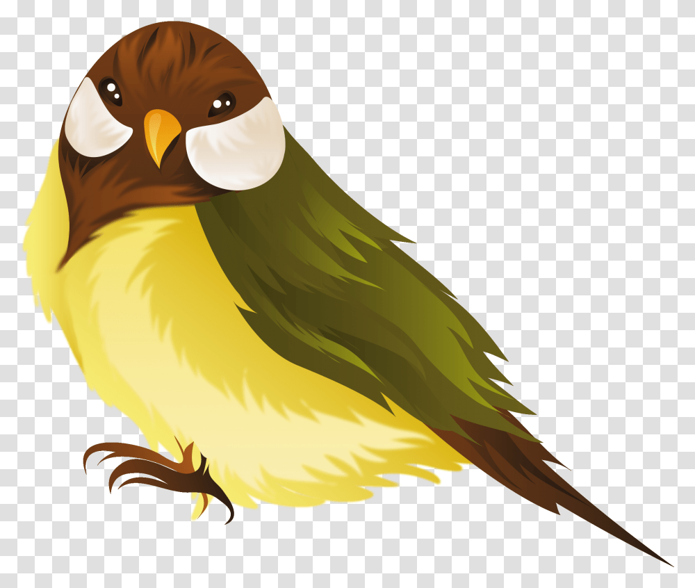 Name Clipart Bird Free For Download Cartoon Birds With Background, Animal, Finch, Beak, Jay Transparent Png