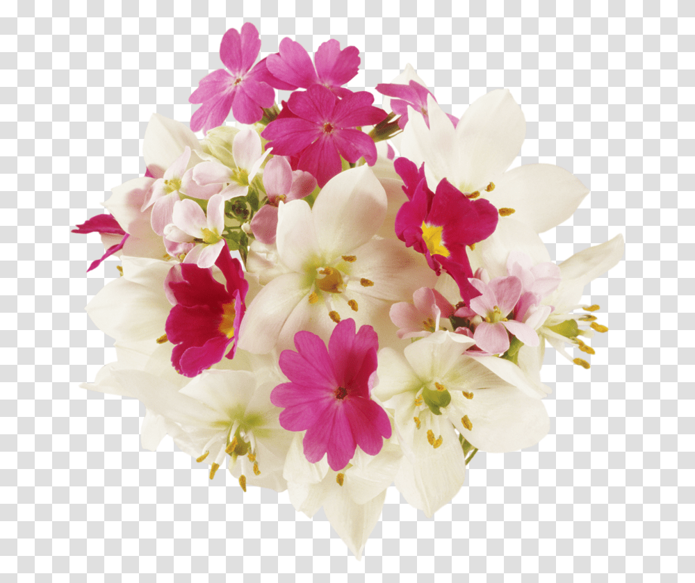 Name Day Flowers, Plant, Blossom, Flower Arrangement, Flower Bouquet Transparent Png