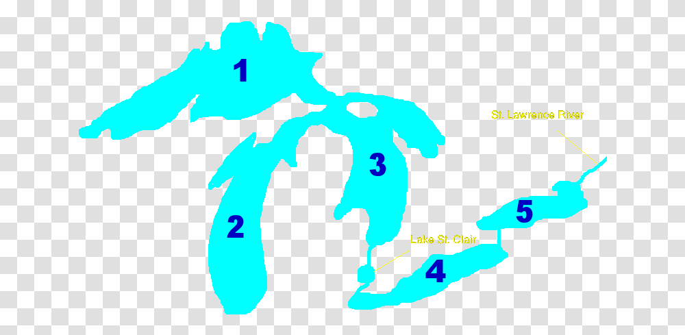 Name The Great Lake, Person, Human Transparent Png