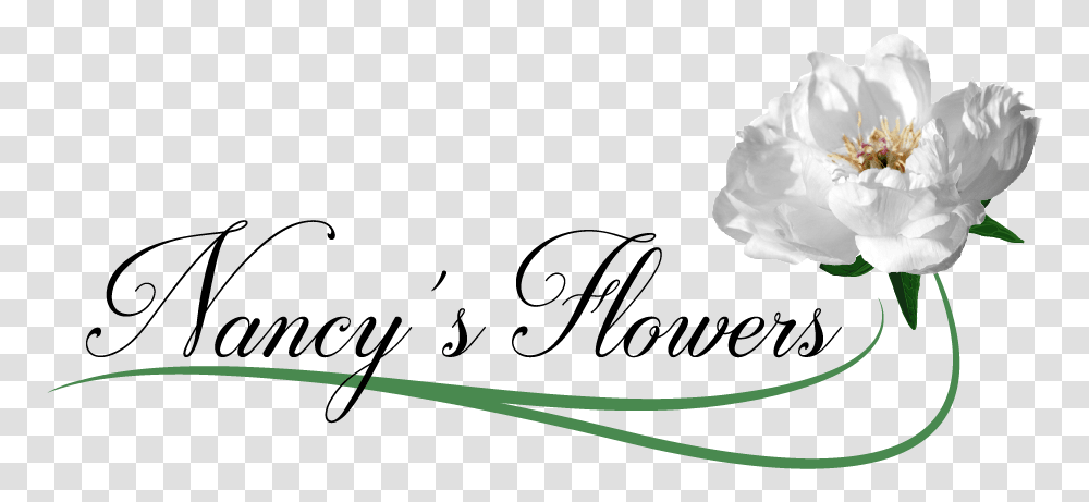 Nancy S Flowers N Logo Flower, Plant, Blossom, Petal, Pollen Transparent Png