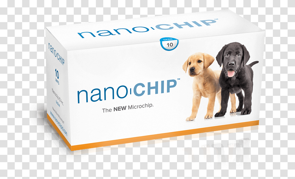 Nano Microchip, Dog, Pet, Canine, Animal Transparent Png