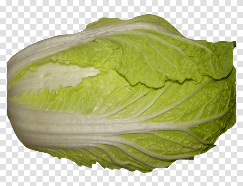 Napa Cabbage Best Stock Photos, Plant, Vegetable, Food, Head Cabbage Transparent Png