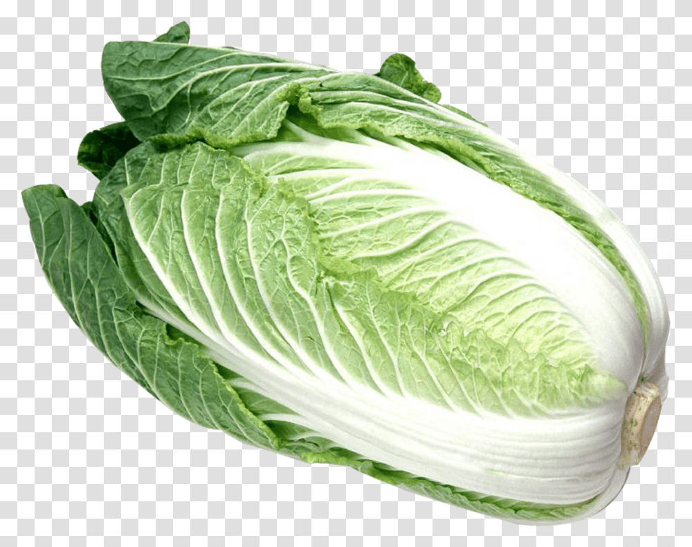 Napa Cabbage Foreign Vegetable Transparent Png