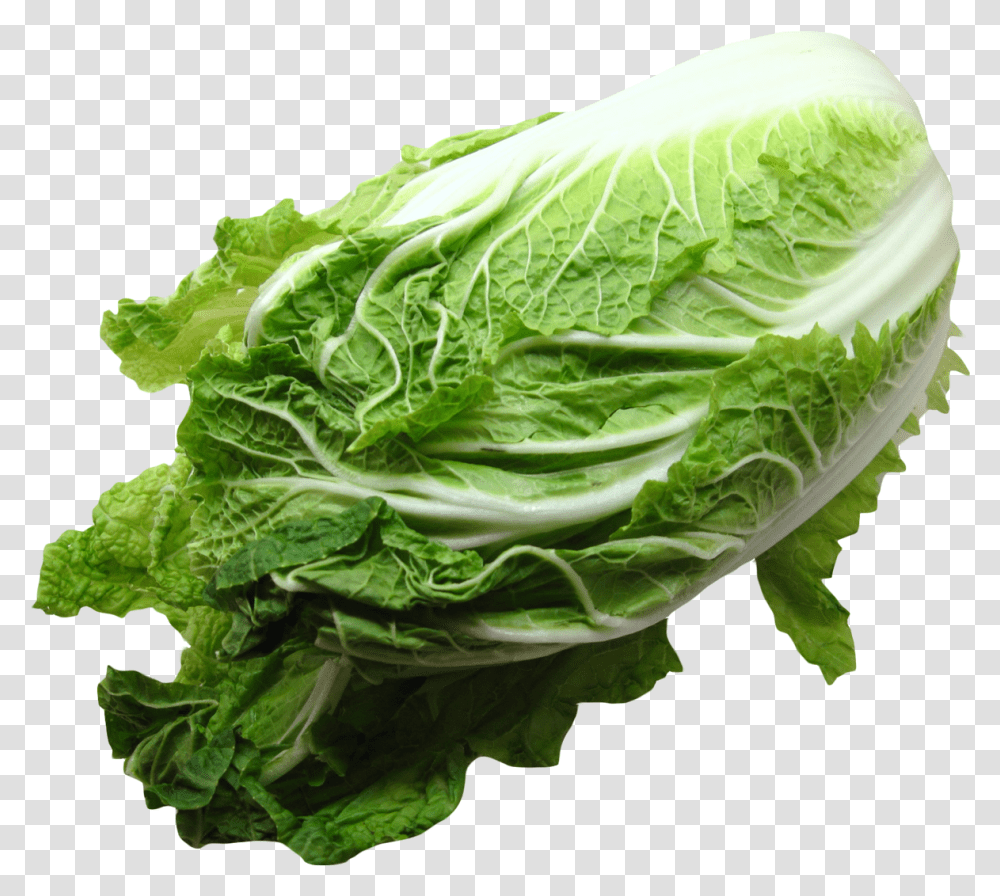 Napa Cabbage Image Cabbage, Plant, Vegetable, Food, Produce Transparent Png