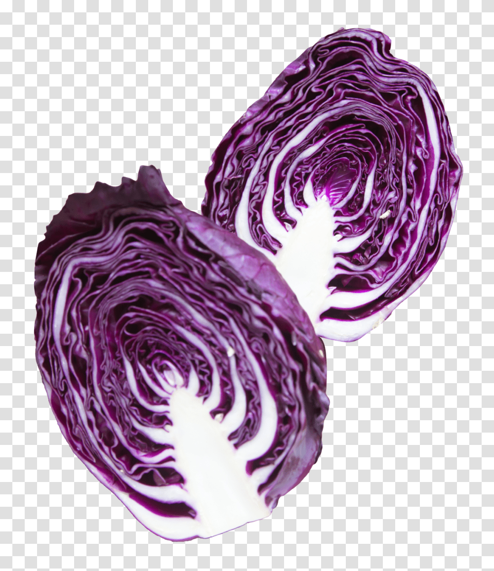 Napa Cabbage Purple Image, Vegetable, Plant, Food, Kale Transparent Png