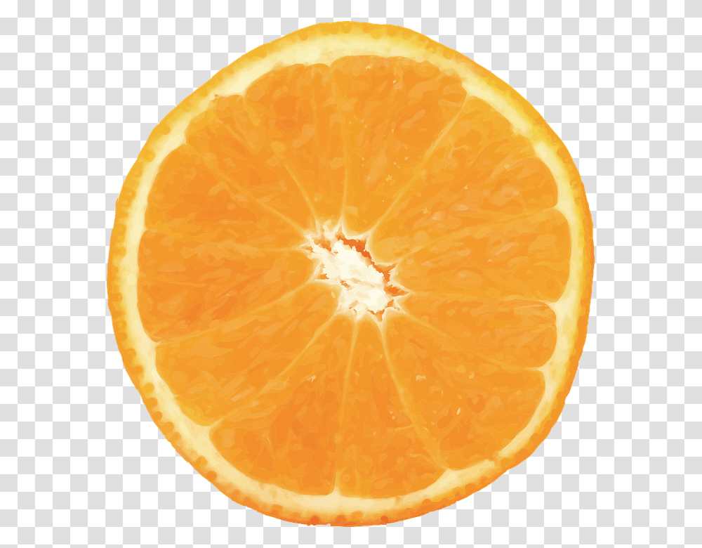 Naranja Vector Fruta Ctricos Fruto Alimentos Orange Half, Citrus Fruit, Plant, Food, Grapefruit Transparent Png