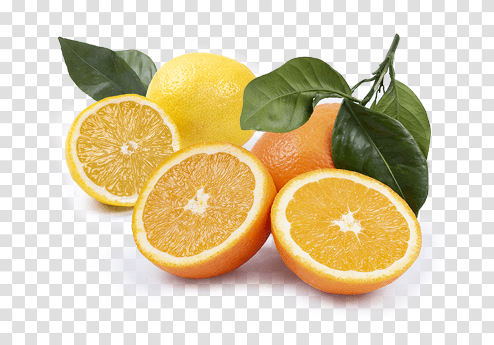 Naranjas Mesa Calibre Superior Lemon, Citrus Fruit, Plant, Food, Orange Transparent Png
