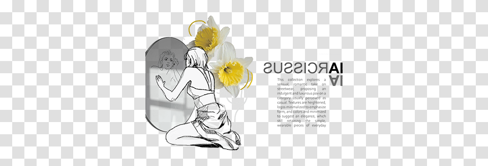 Narcissus Projects Photos Videos Logos Illustrations For Women, Person, Human, Plant, Flower Transparent Png